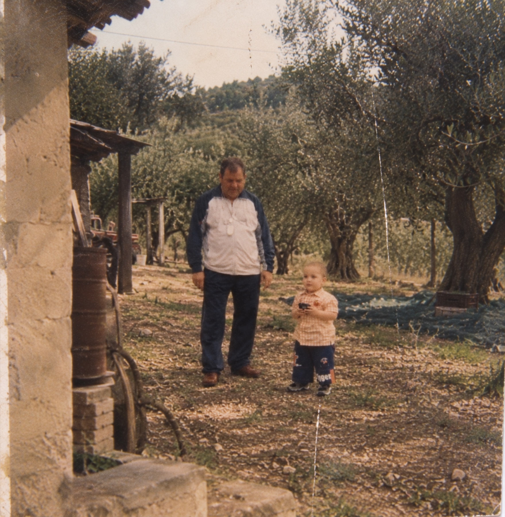Damiano enfant dans l'oliveraie familiale avec son grand-père Gigio