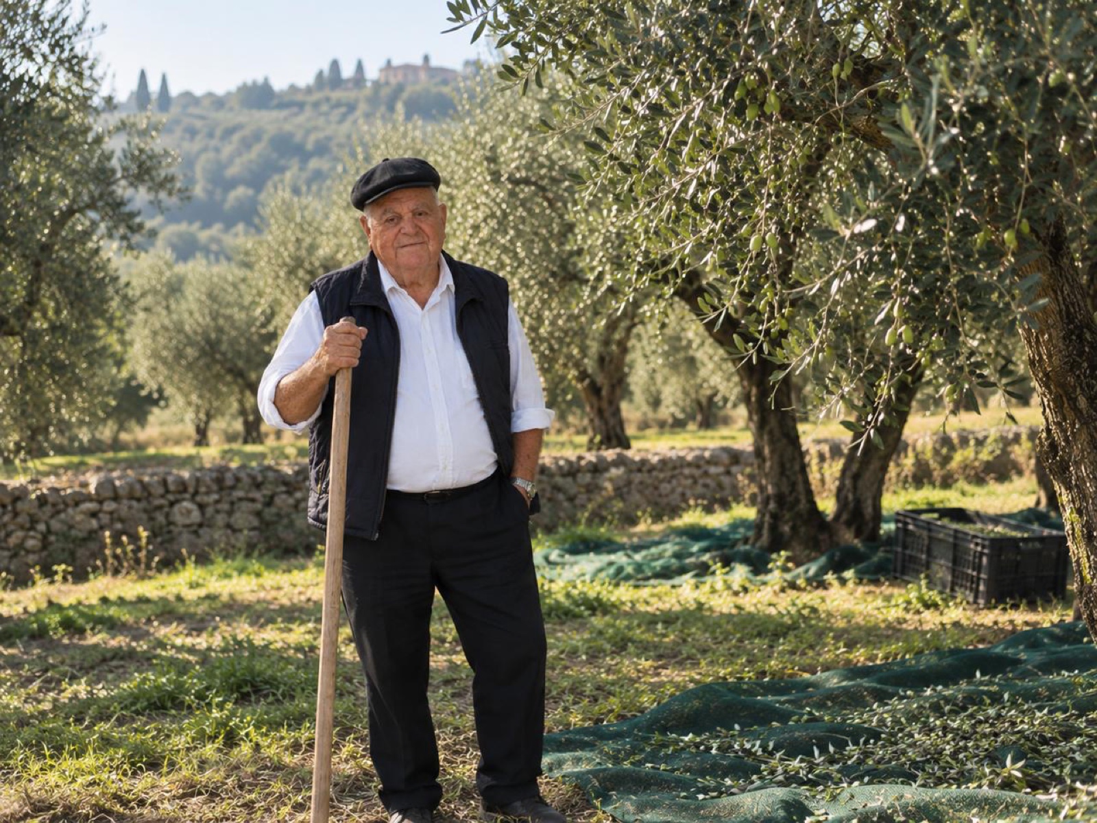 Luigi « Gigio » Fiorentino, debout dans l'oliveraie familiale à Rocca di Neto